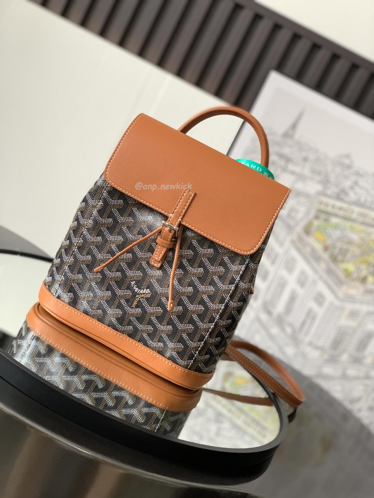 Goyard Alpin Mini Backpack 23 Cm X 9.5 Cm X 19 Cm (25) - www.newkick.vip